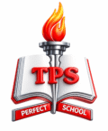 theperfectschools.edu.pk